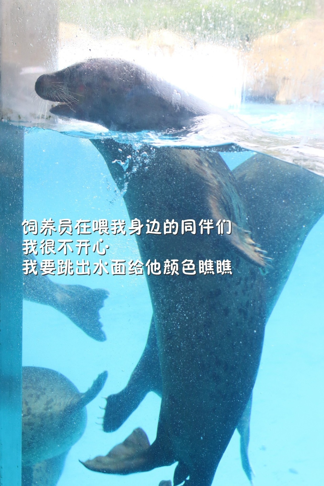 珠海长隆海洋王国攻略三天两夜,珠海长隆海洋王国必玩十大项目