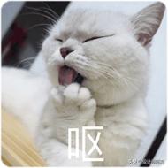 马桶和蹲厕哪个好,蹲厕好还是马桶好