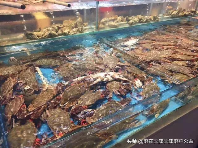 开海了怎么选海鲜,开海了囤点什么海鲜合适