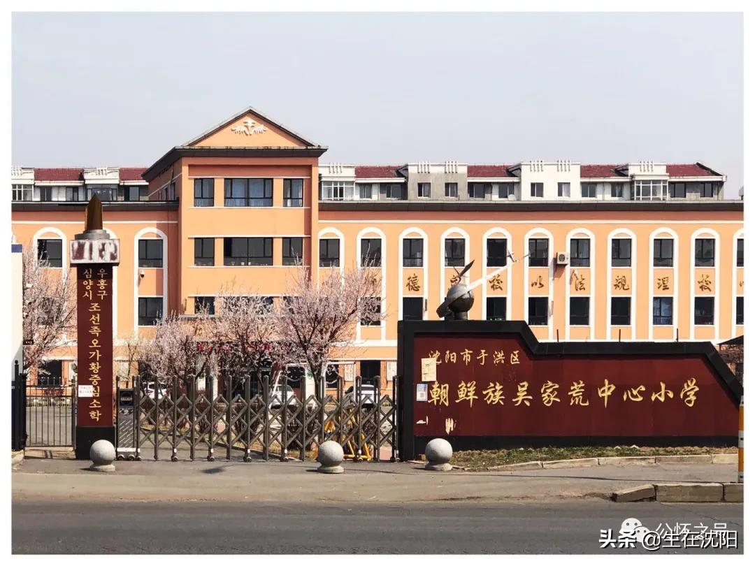 沈阳回忆,沈阳兴华实验学校回忆录