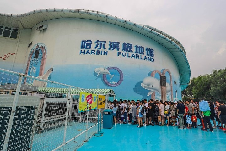 哈尔滨极地馆景点夏季,哈尔滨极地馆附近还有什么景点