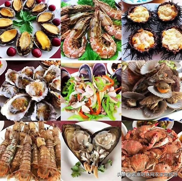 长岛渔家乐干净卫生吃得鲜美,长岛哪个渔家乐好玩