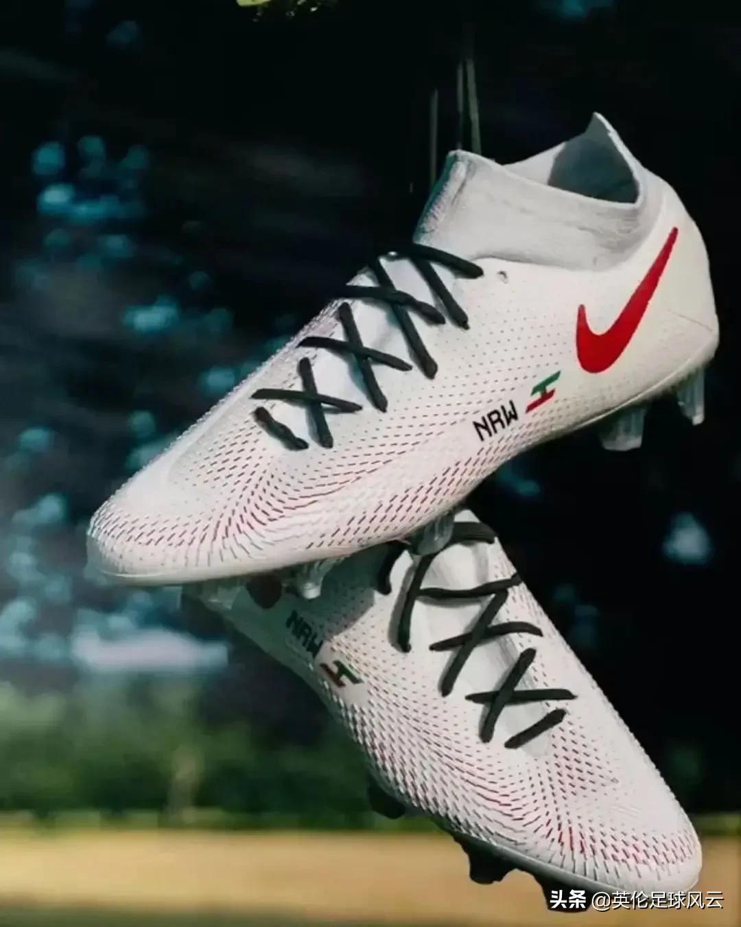 假如我得了诺贝尔奖,假如我得了诺贝尔