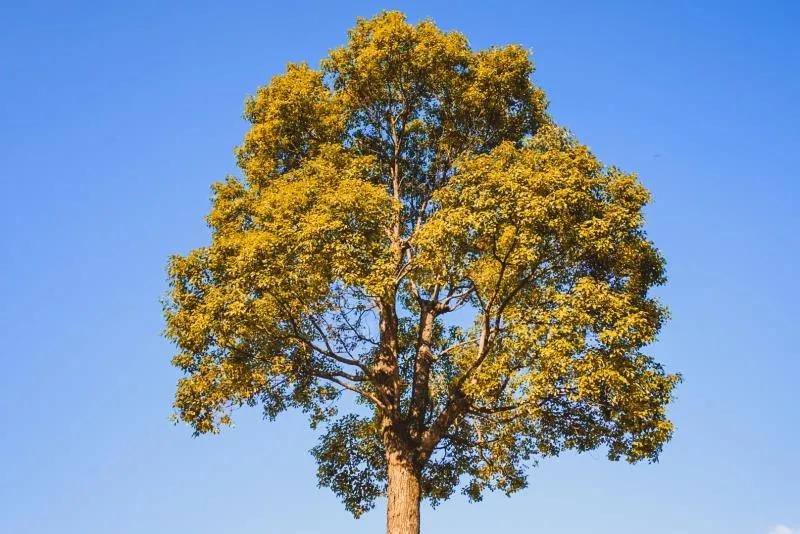 看,这是属于泉信的秋韵