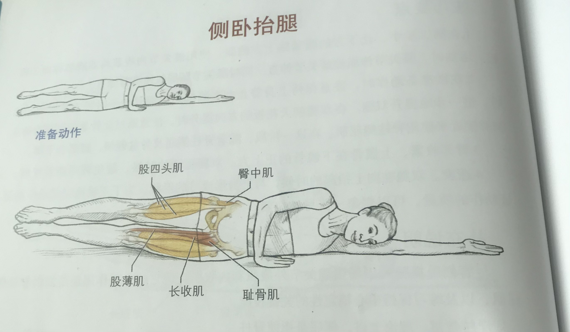 为什么大腿前侧感觉无力,为啥大腿内侧难练