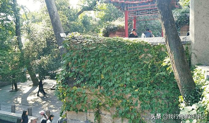 崂山最佳攻略,崂山详细讲解