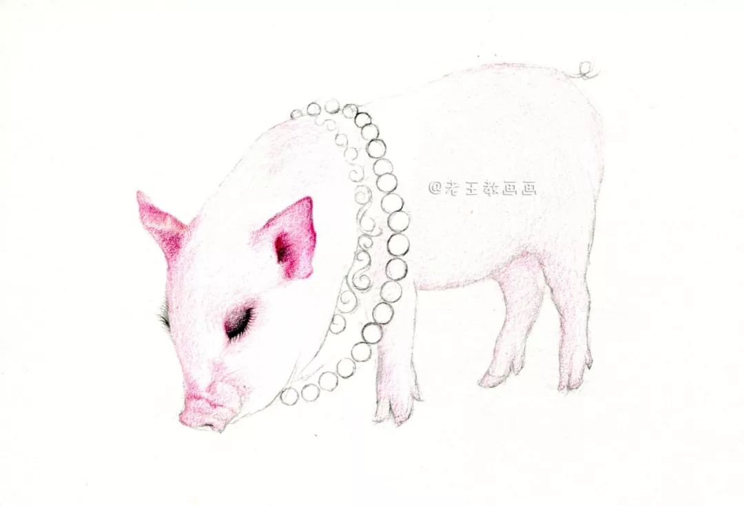 猪年画猪,猪年怎么画