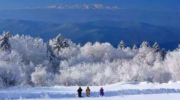 冬日必去赏雪胜地,冬日游必去的地方