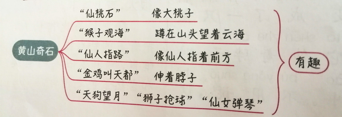 二年级上册语文课文讲解重点归纳,二年级上册语文第3单元预习资料