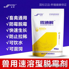 效养蛋禽-全解--如何高效有力的养殖蛋禽增加产蛋，收入