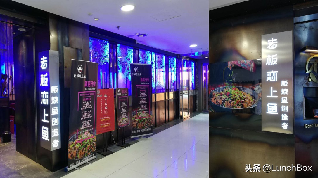 老板恋上鱼的厨师,烤鱼老板恋上鱼直播