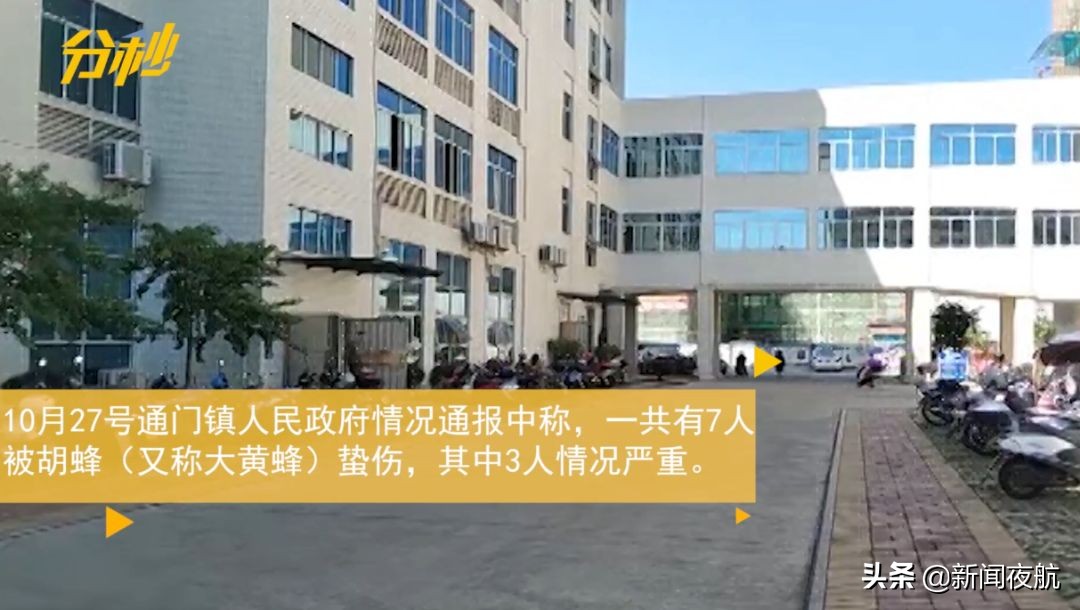 江西女子被蜂群袭击视频,江西女子遭蜂群猛攻后续