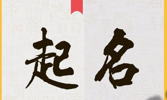 必看的淘宝店铺名字怎么取,淘宝店铺名字怎么取需要注意什么