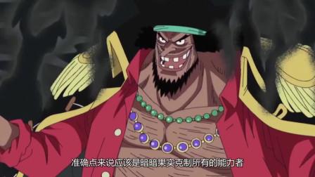 海贼王六颗恶魔果实,海贼王六个能操控人的果实