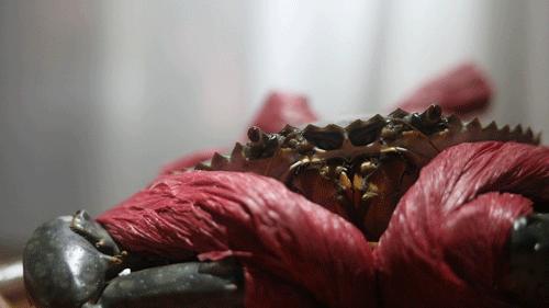 罗湖有家怪店，十个人来吃完饭后，老板居然多了一百个朋友