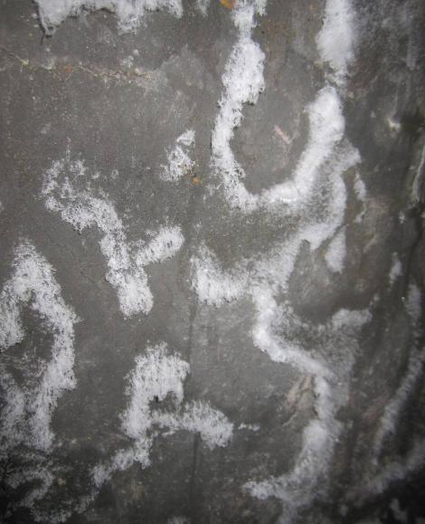 房子装修墙面返碱怎么办,新房装修反碱怎么处理