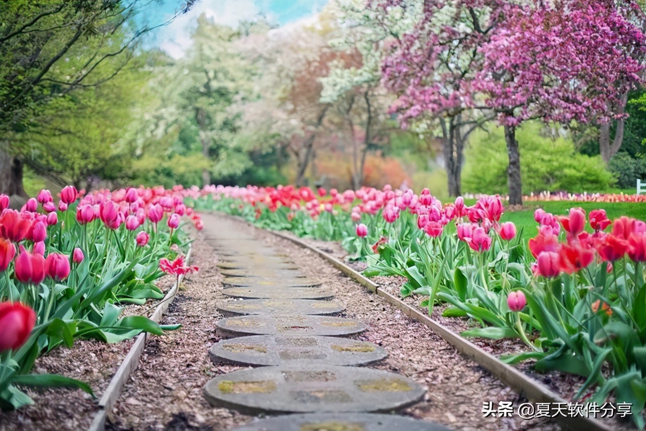 WPS教育版来了，免费无广告