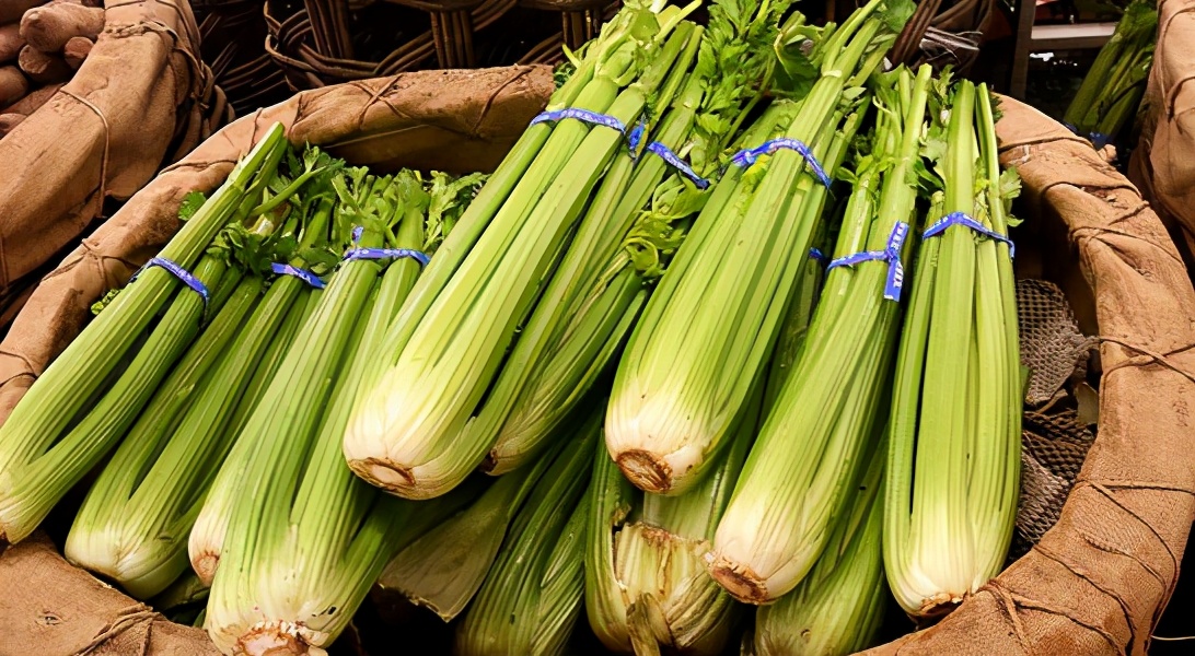 买芹菜买哪的好,挑选大芹菜的正确方法