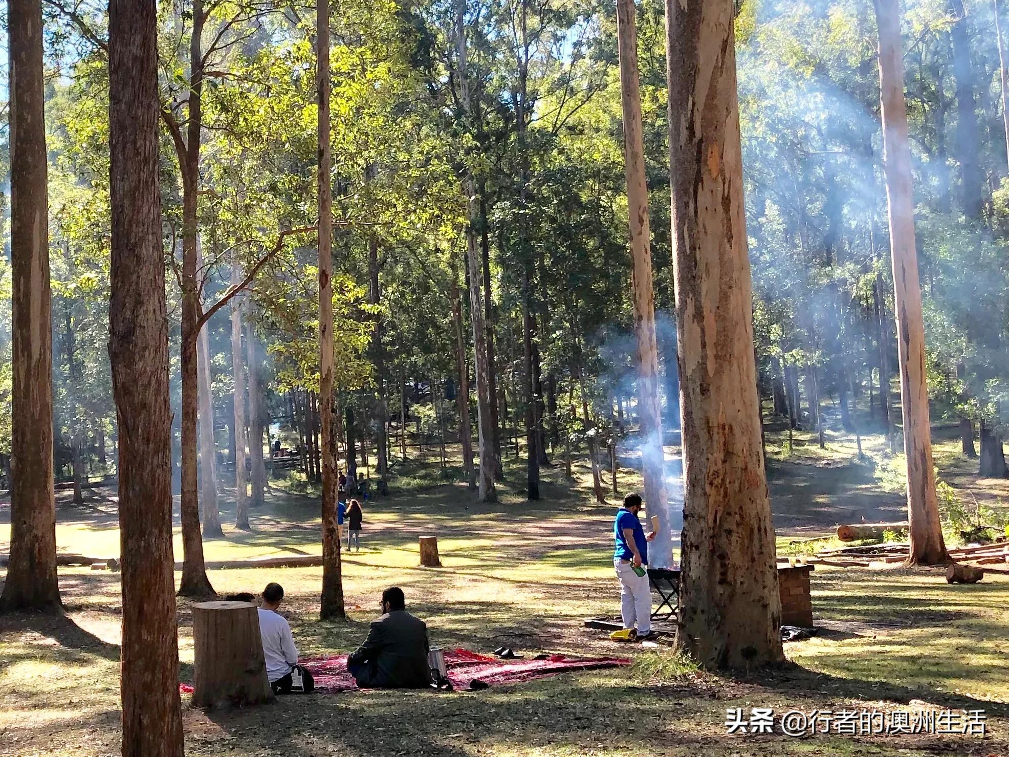 澳洲布里斯班的真实生活（2