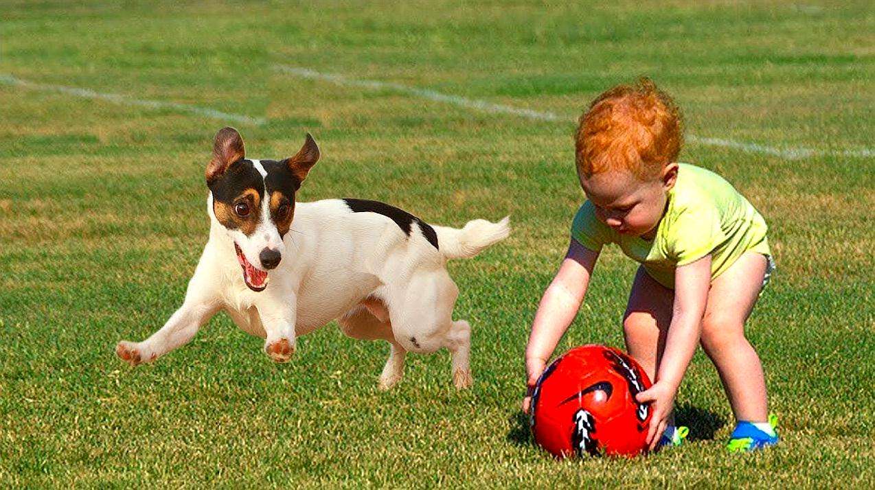 假期孩子想玩的游戏有哪些,2-3岁亲子玩球