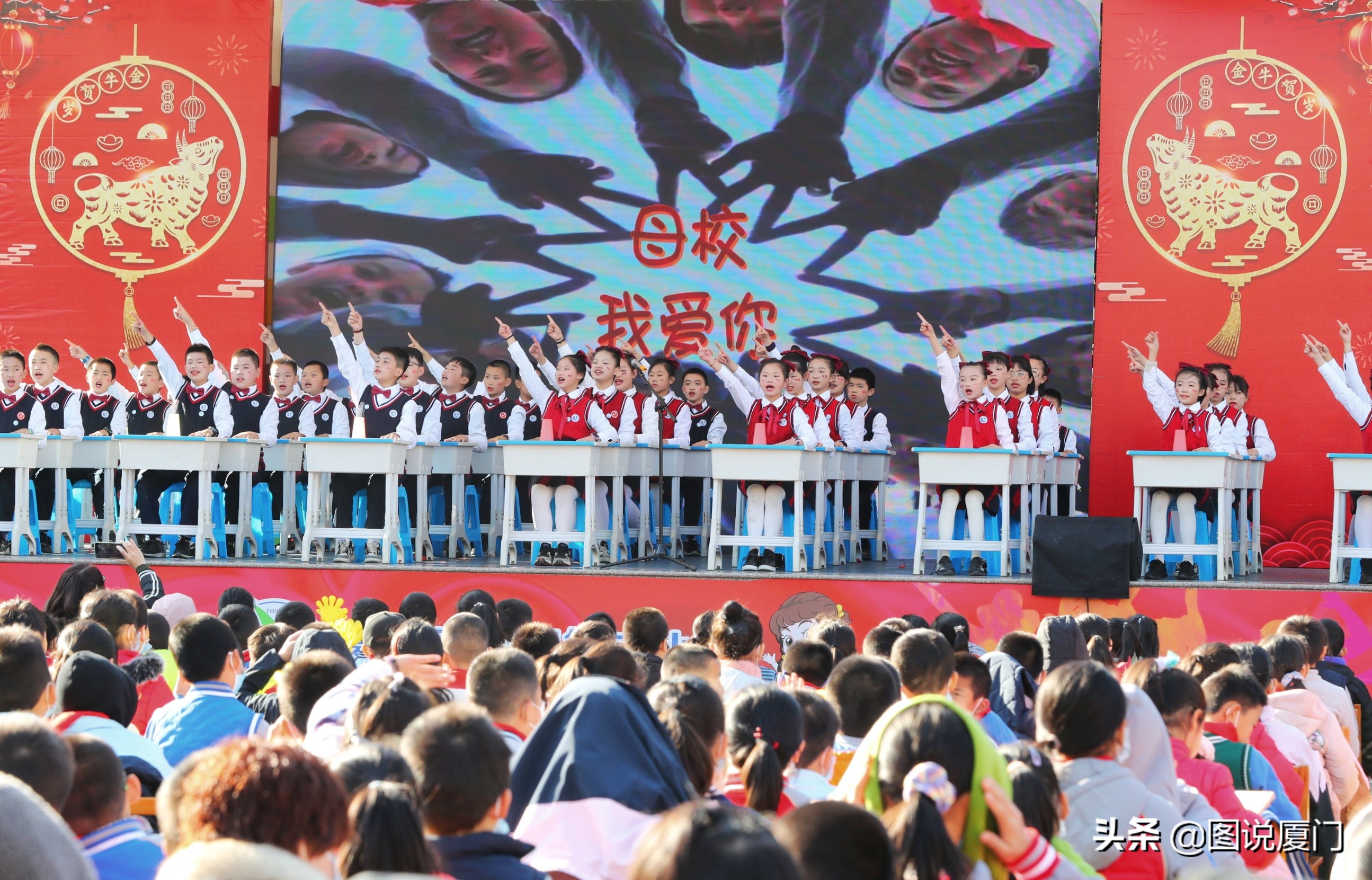 凤凰花开新征程新启航,厦门二中凤凰花开