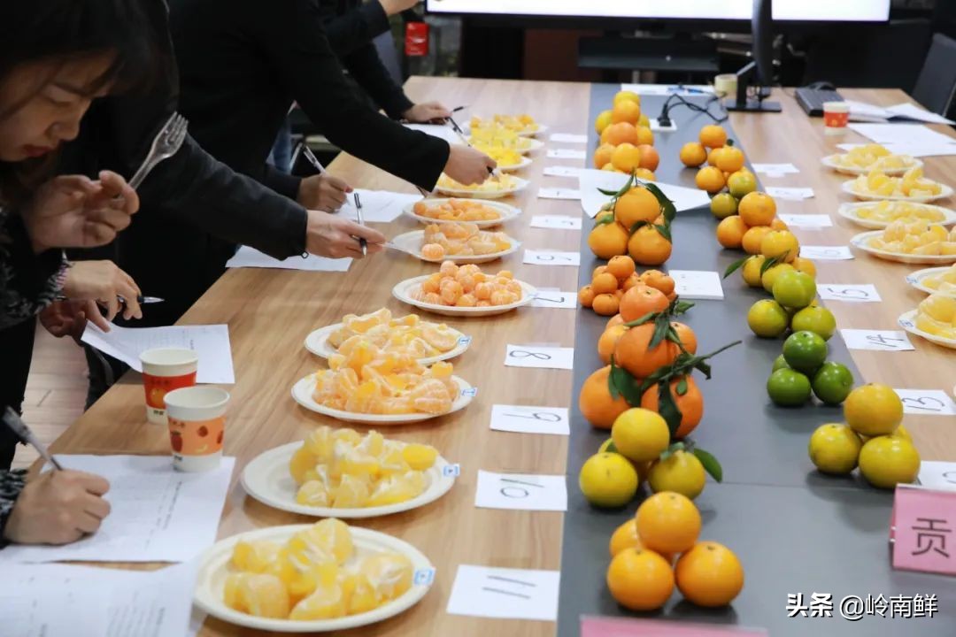 柑橘能吃出菠萝味？带你体验种植匠2020冬季柑橘橙测评