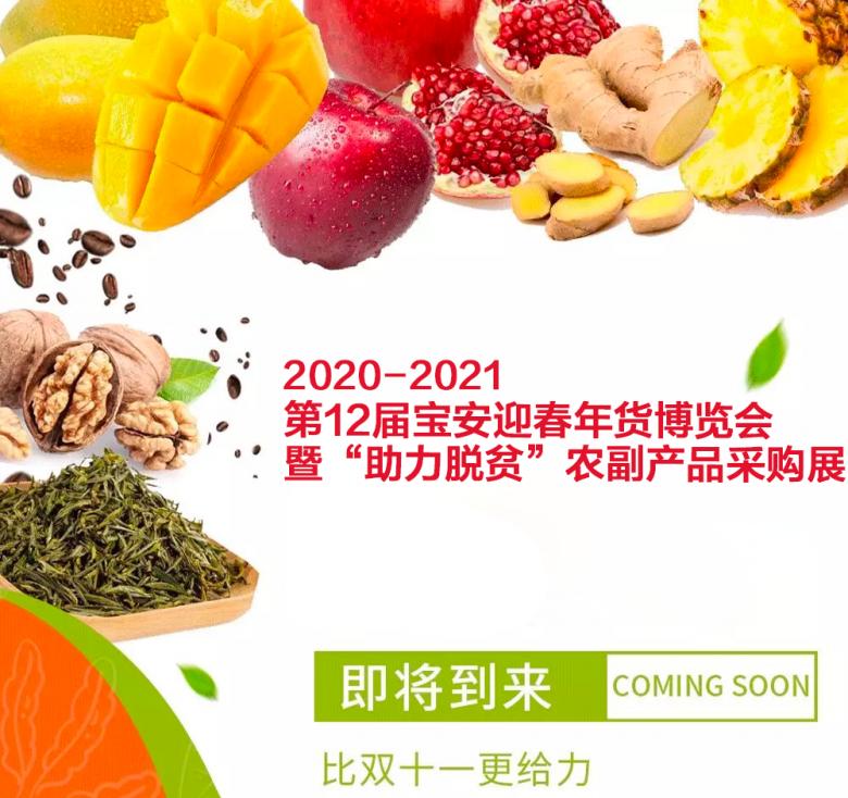 宝安宝体年货博览会,深圳宝安十一届迎春年货节