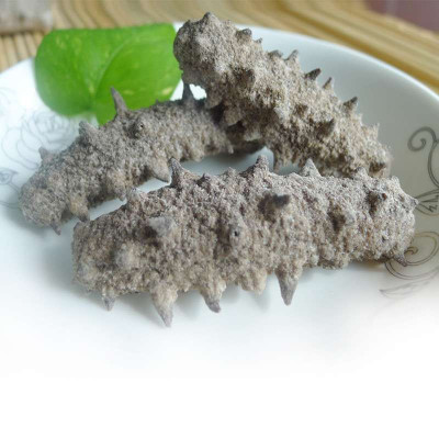 什么样的海参是比较好的海鲜,什么样的海参是好海参