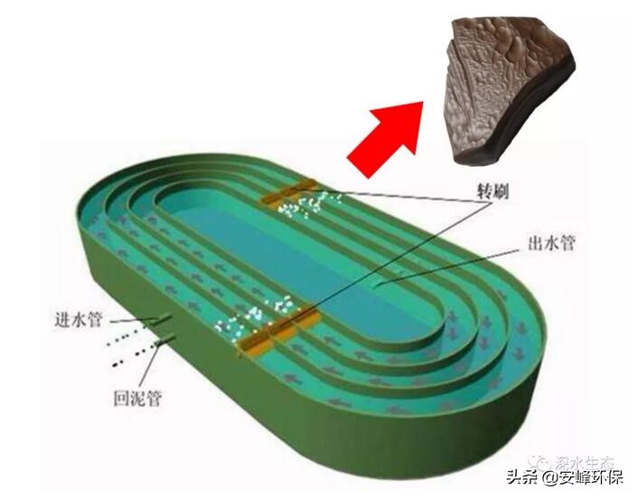 污水处理厂的污泥怎样处置,西安沣西新城污泥处置项目