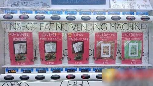 日本昆虫零食贩卖机,日本活体昆虫自助售卖机