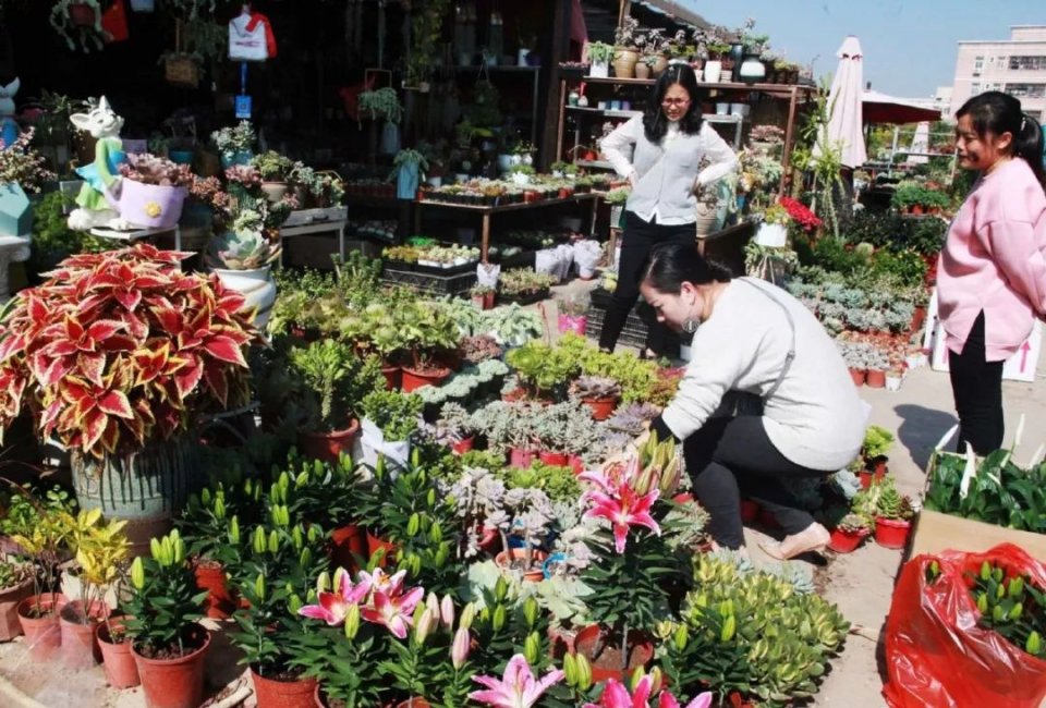 深圳批发年货零食市场,今年深圳的年货市场在哪里