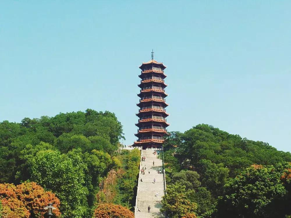 深圳光明发展最好的地方在哪,深圳光明区有什么好的地方