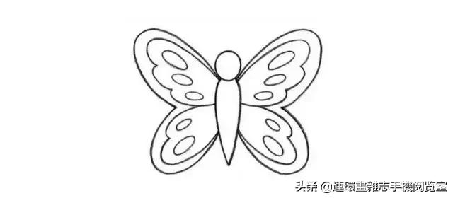 可爱的小昆虫简笔画,我认识的昆虫简笔画