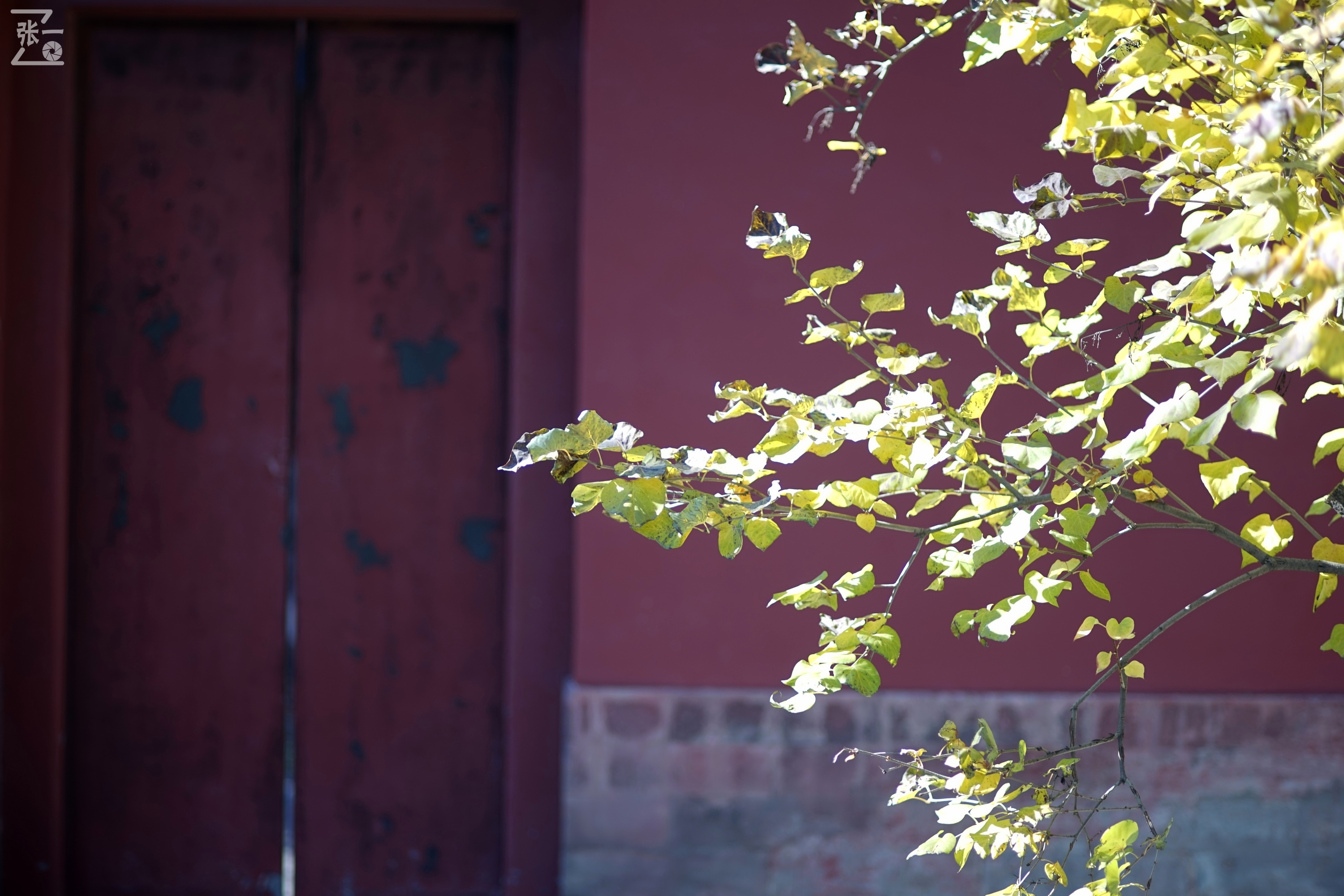 日本老镜头,canon老相机曝光