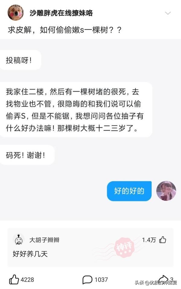 “女友的爸爸让我二选一，看到网友的神评，我果断出击！”哈哈哈