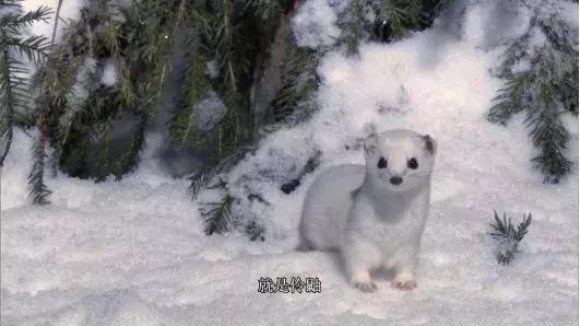 长春家长都领着孩子在干这件事儿，你没做，就落后了！