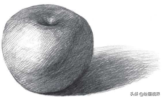 素描入门零基础教程静物,零基础怎么学素描素描入门小教程