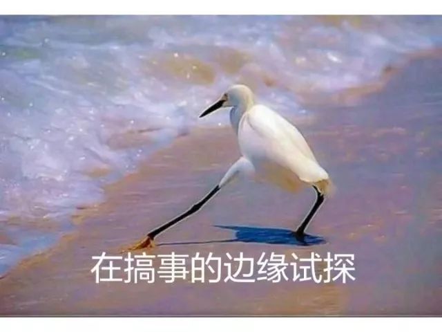 在日本留学打工，不了解这些就一定会吃亏