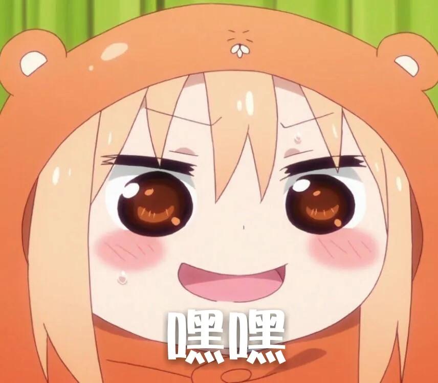 养猫咪哪种猫最好养并且粘人,新手养猫最好要选择这三种猫咪