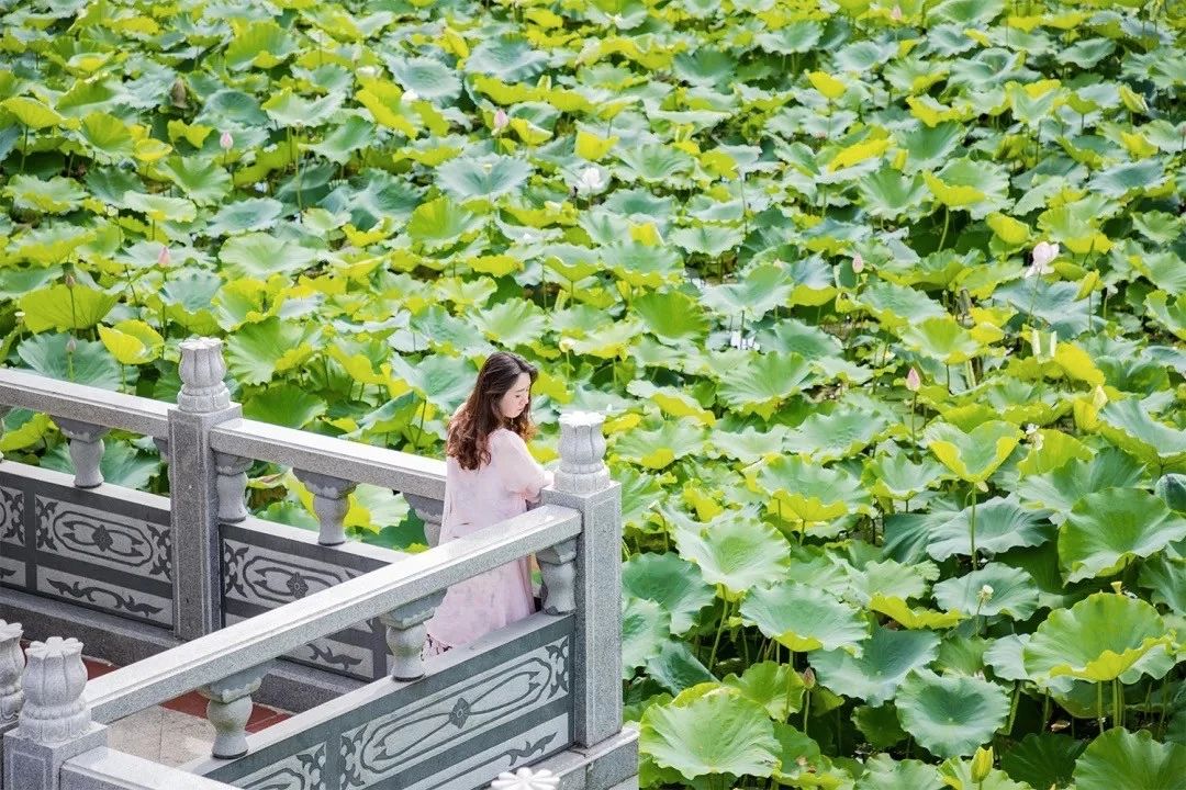 深圳游玩最佳地点排行榜前十名,深圳适合小孩游玩最佳地方推荐