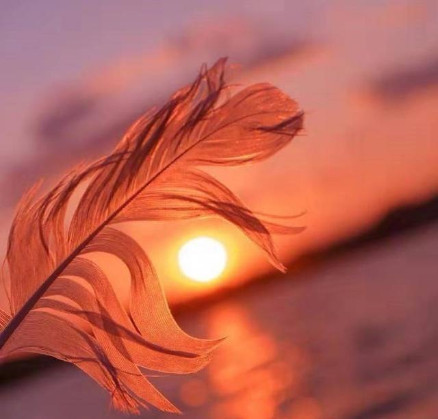 简单又暖心的晚安心语，经典温馨，愿美梦治愈你的难过！