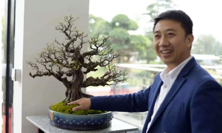 花木城：让盆景走进千家万户，尽显芳华