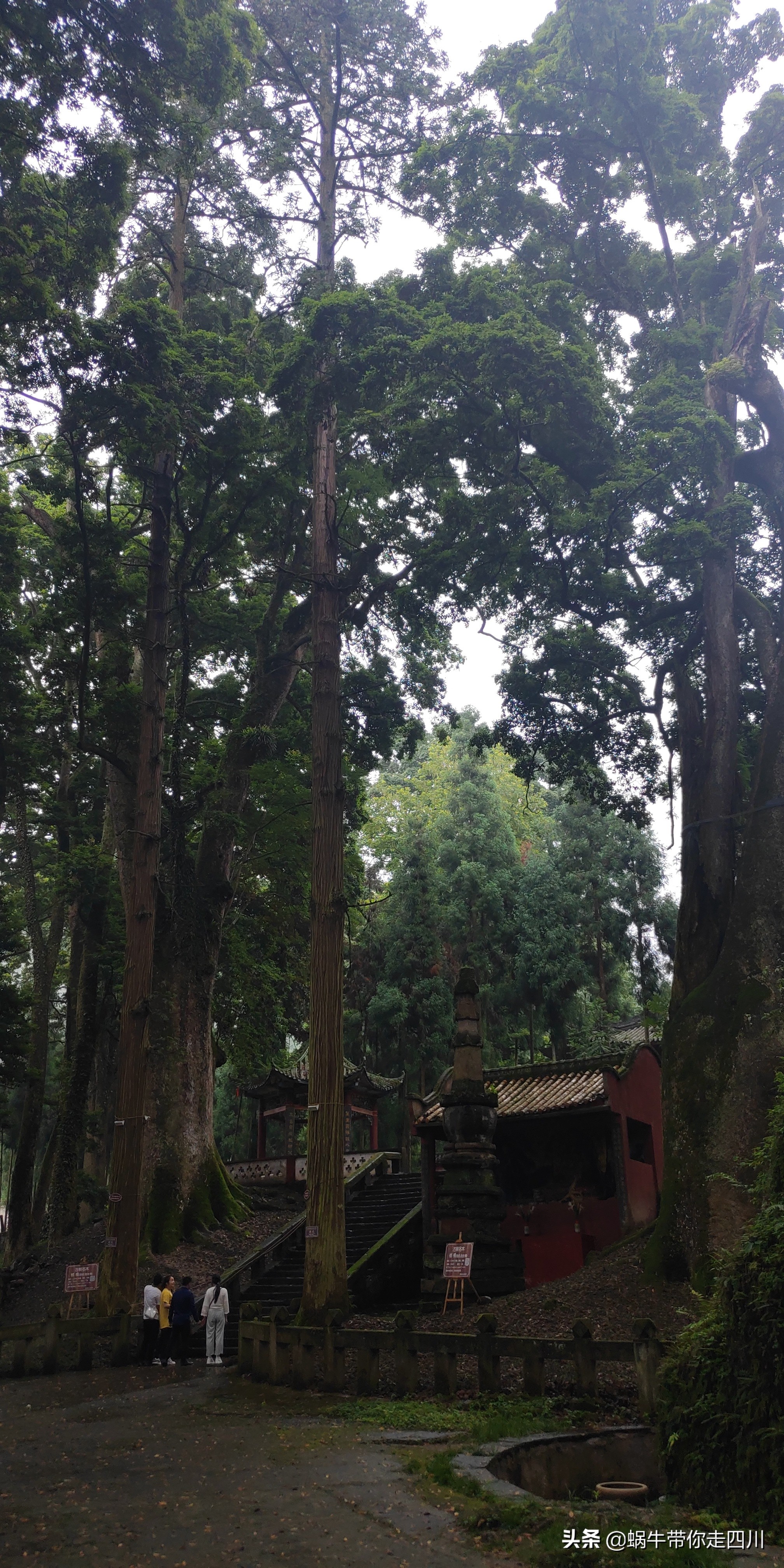 成都出发,一家三口2300元贡嘎神汤喇叭河四日游