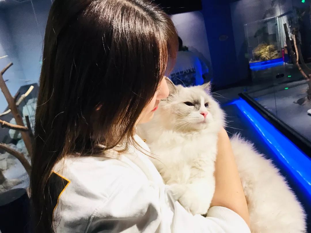 亲子必打卡动物园,动物园观赏园萌宠乐园等你打卡