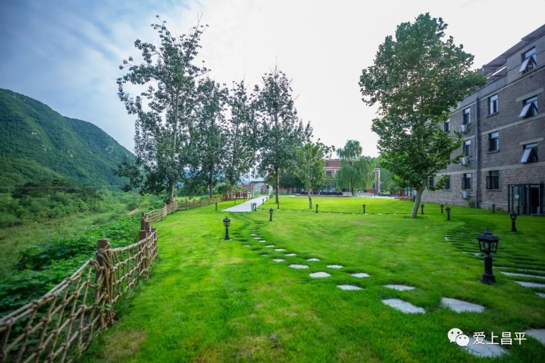 夏日京郊高端民宿,清爽到极致的民宿