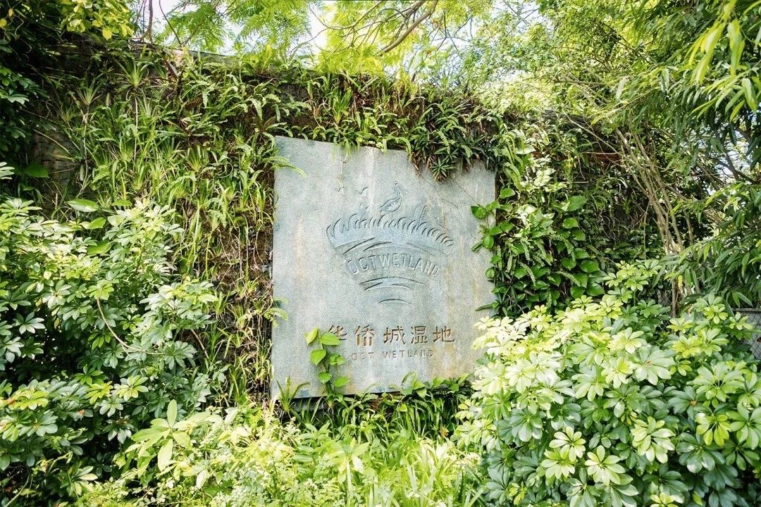 深圳最适合亲子游的好去处,深圳周末家庭游玩好去处