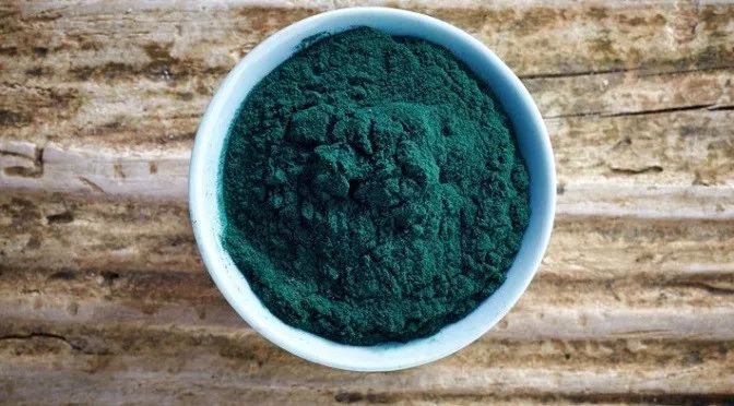 吃海藻类食物有什么好处,吃海藻芽的好处