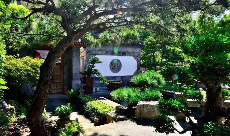 锦鲤怎样补蛋白质最快最有效,锦鲤饲料增体和增色专用料