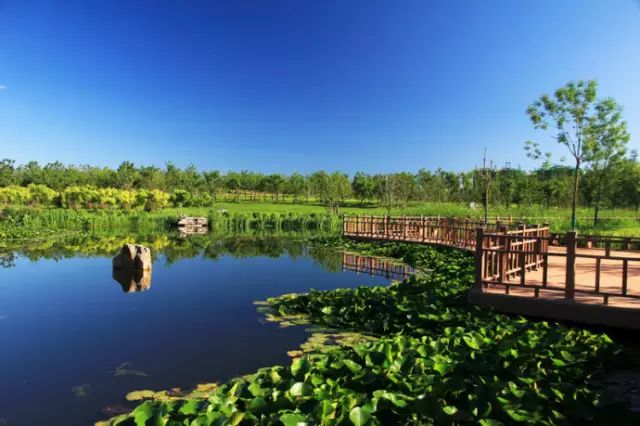 北京房山团建踏青地点推荐,北京房山春季旅游最佳去处
