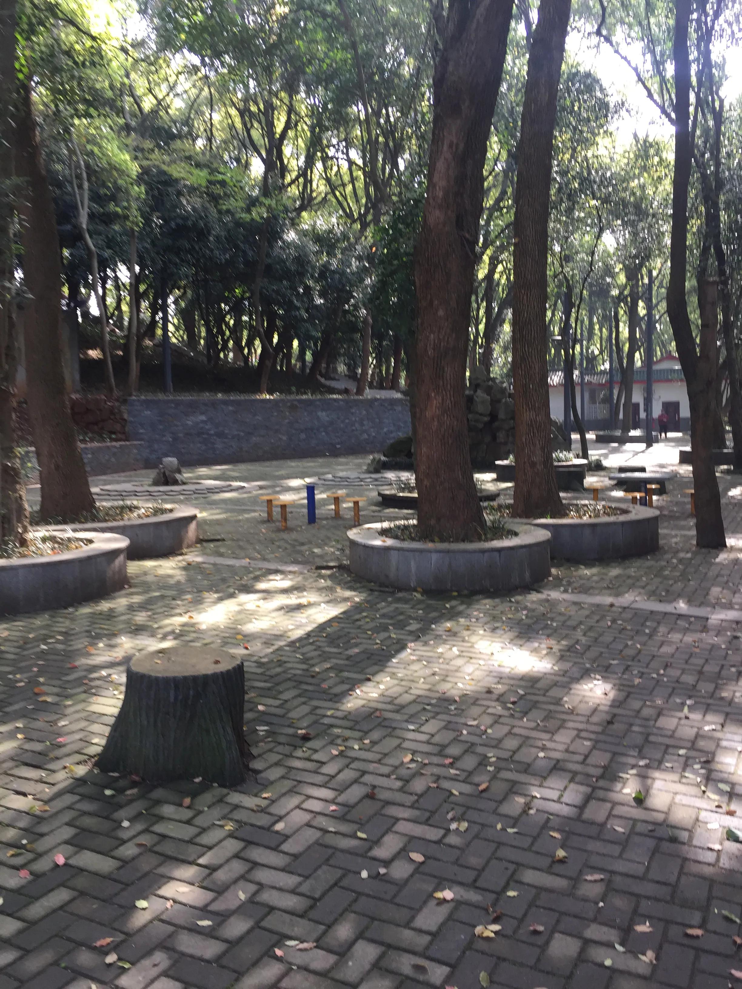 神农公园游览图怎么画简单,神农公园游乐场关门时间